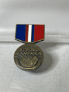 Kosovo Campaign Pin