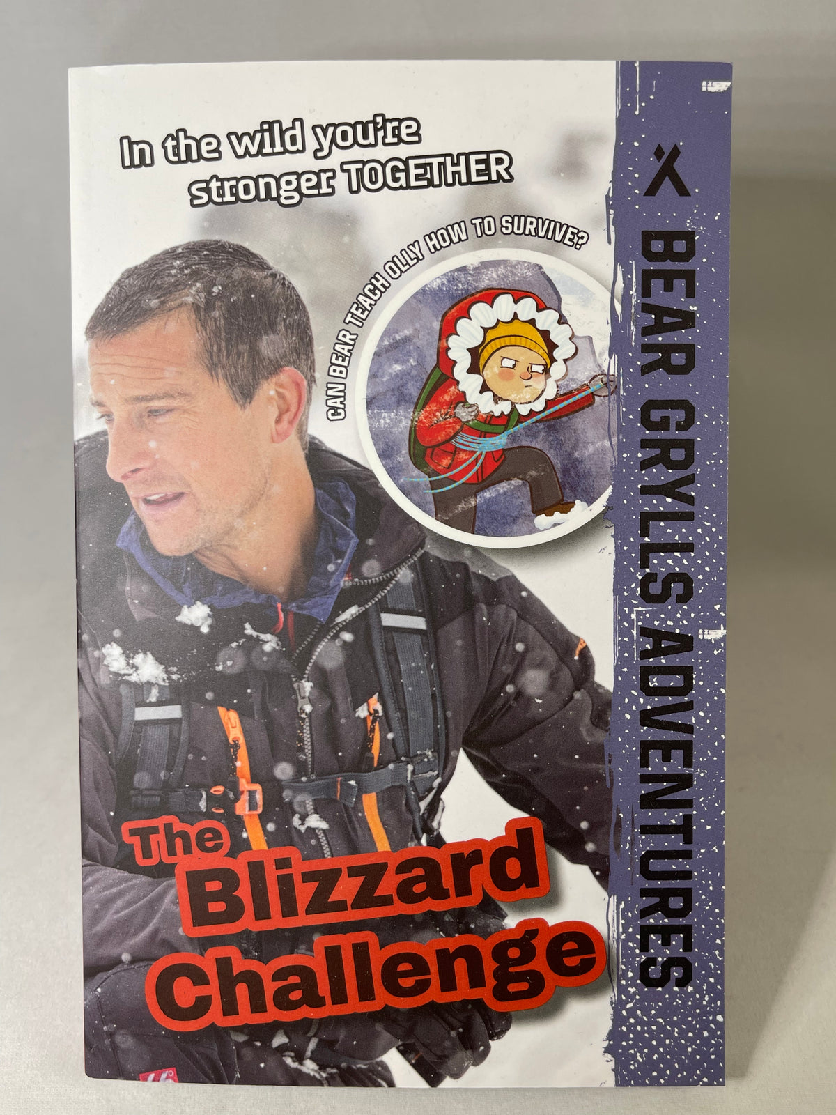 Bear Grylls Blizzard Challenge Book
