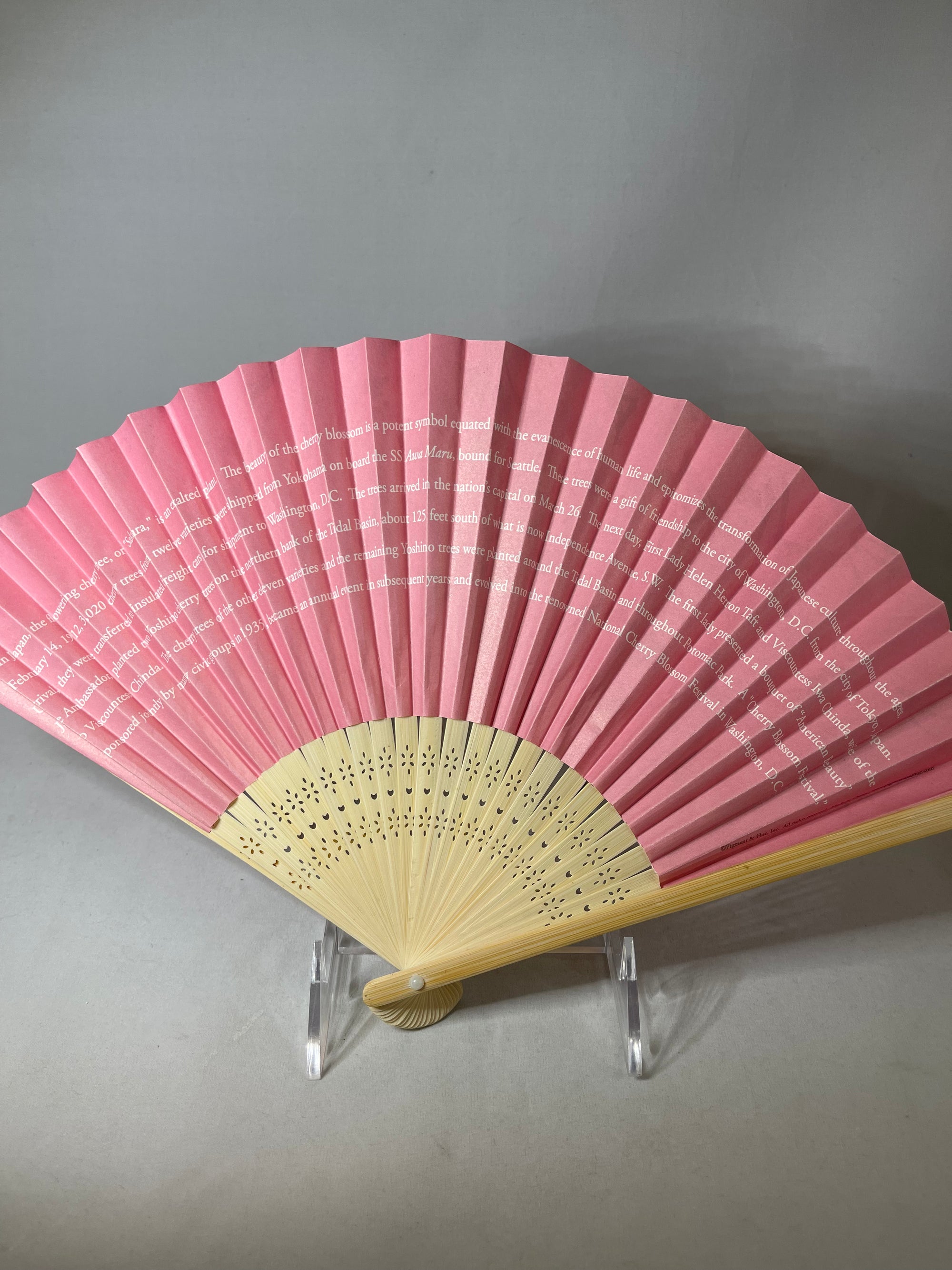 Fan Cherry Blossoms