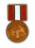 Multinational Force and Observers Medal pin