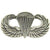 Paratrooper Pin 1 1/4"