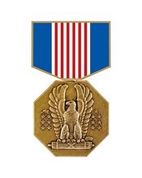 Army Soldier Medal Hat Pin
