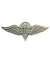 Rigger Pin 1 3/4"
