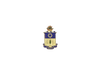 21st Infantry Regiment Cap Crest