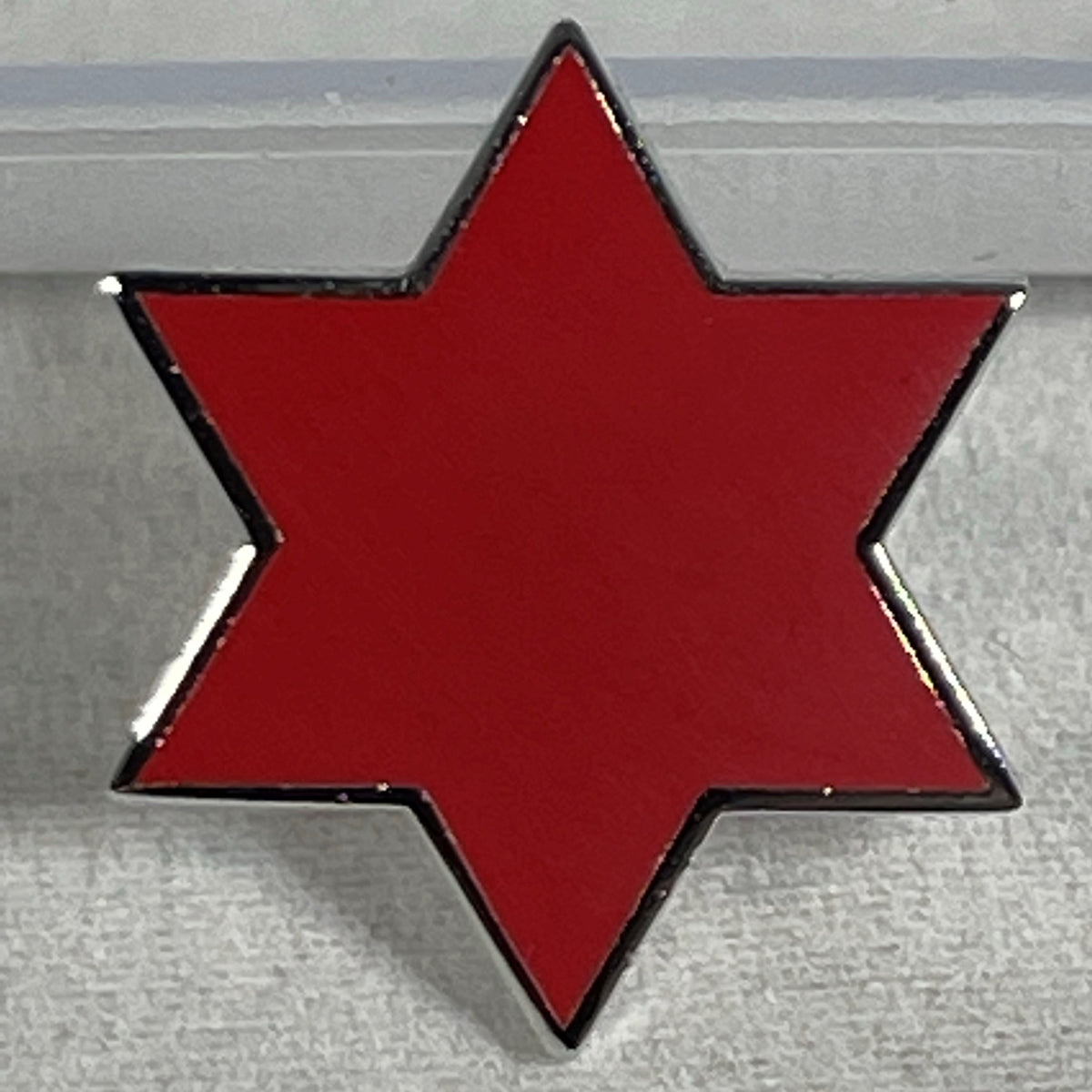 6th Infantry Division Pin