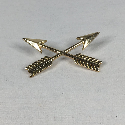 Special Forces Crossed Arrows Pin